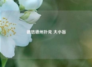 德信德州扑克 大小盲