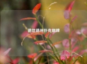 德信德州扑克底牌
