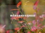 腾讯德信德州扑克官网投诉