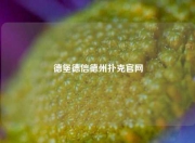 德堡德信德州扑克官网