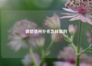 德信德州扑克怎样赢的
