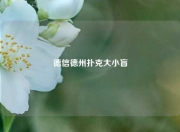 德信德州扑克大小盲