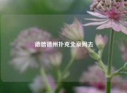 德信德州扑克北京同去