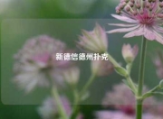 新德信德州扑克