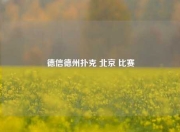 德信德州扑克 北京 比赛