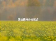 德信德州扑克配合