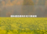 国际德信德州扑克大赛视频