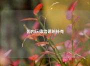 国内玩德信德州扑克