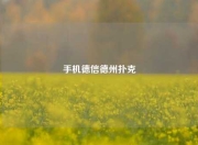 手机德信德州扑克