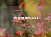 博雅德信德州扑克主版本