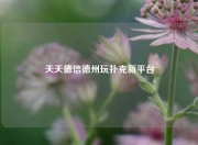 天天德信德州玩扑克新平台