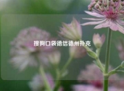 搜狗口袋德信德州扑克