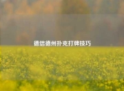 德信德州扑克打牌技巧