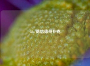 3ds 德信德州扑克