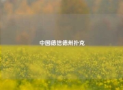 中国德信德州扑克