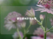 德信德州扑克比率