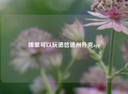 哪里可以玩德信德州扑克app