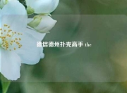 德信德州扑克高手 the