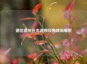 德信德州扑克视频经典牌局解析