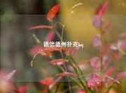 德信德州扑克kq