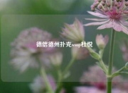 德信德州扑克wsop杜悦