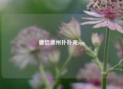 德信德州扑扑克app