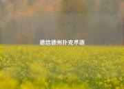德信德州扑克术语