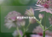 德信德州扑克平台