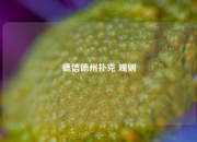 德信德州扑克 规则