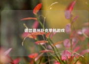 德信德州扑克单机游戏