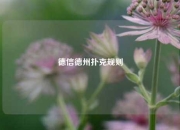 德信德州扑克规则