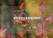 德信德州扑克是模仿梭哈