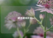 德信德州扑克Ivey