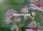 原德信德州扑克视频