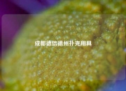 成都德信德州扑克用具