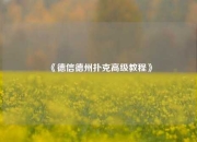 《德信德州扑克高级教程》