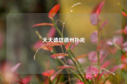 天天德信德州扑克