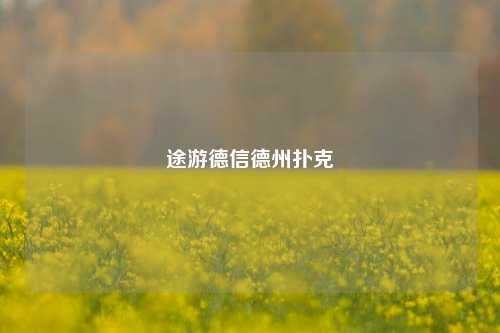 途游德信德州扑克