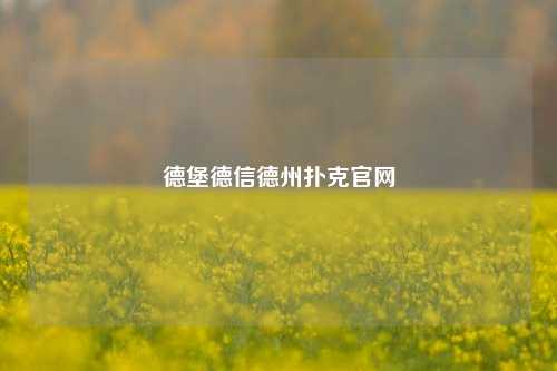 德堡德信德州扑克官网