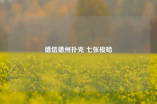 德信德州扑克 七张梭哈