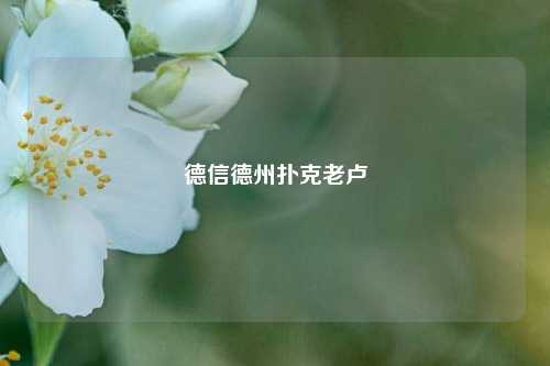 德信德州扑克老卢