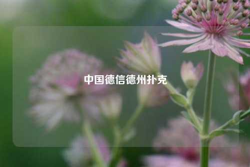 中国德信德州扑克