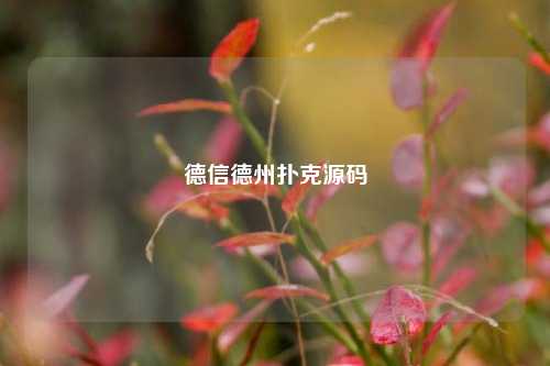 德信德州扑克源码