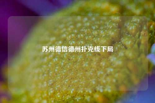 苏州德信德州扑克线下局