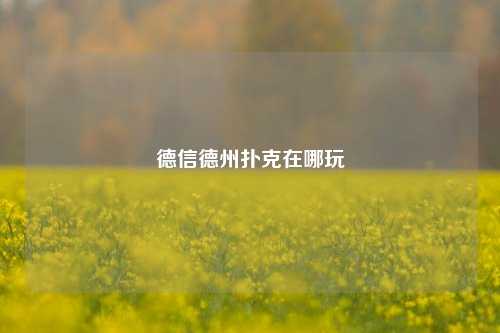 德信德州扑克在哪玩
