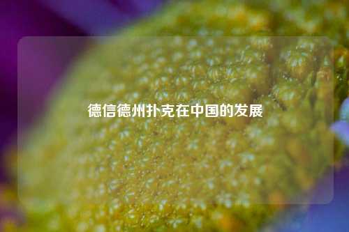德信德州扑克在中国的发展