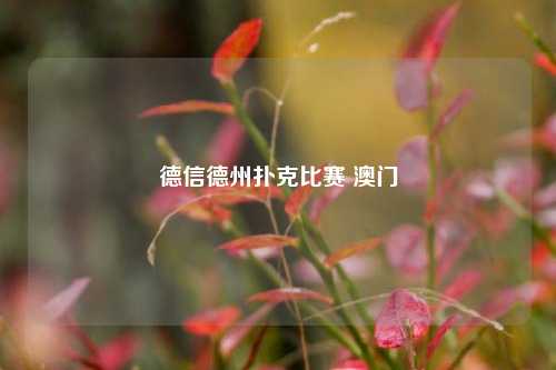 德信德州扑克比赛 澳门