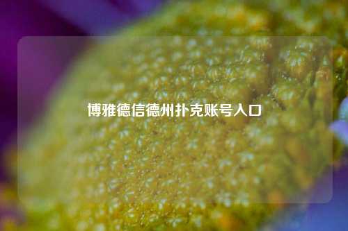 博雅德信德州扑克账号入口