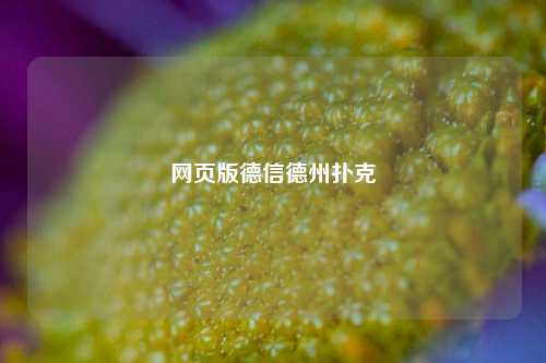 网页版德信德州扑克