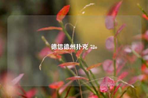 德信德州扑克 72o